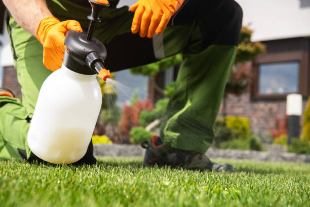 Best Commercial Pest Control Services  in Interlachen, FL