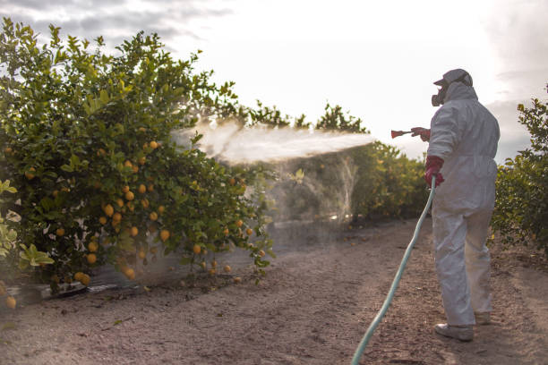 Best Pest Removal Services  in Interlachen, FL