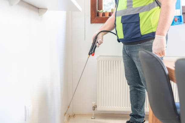 Best Insect Control  in Interlachen, FL
