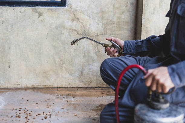 Wasp Removal Services in Interlachen, FL